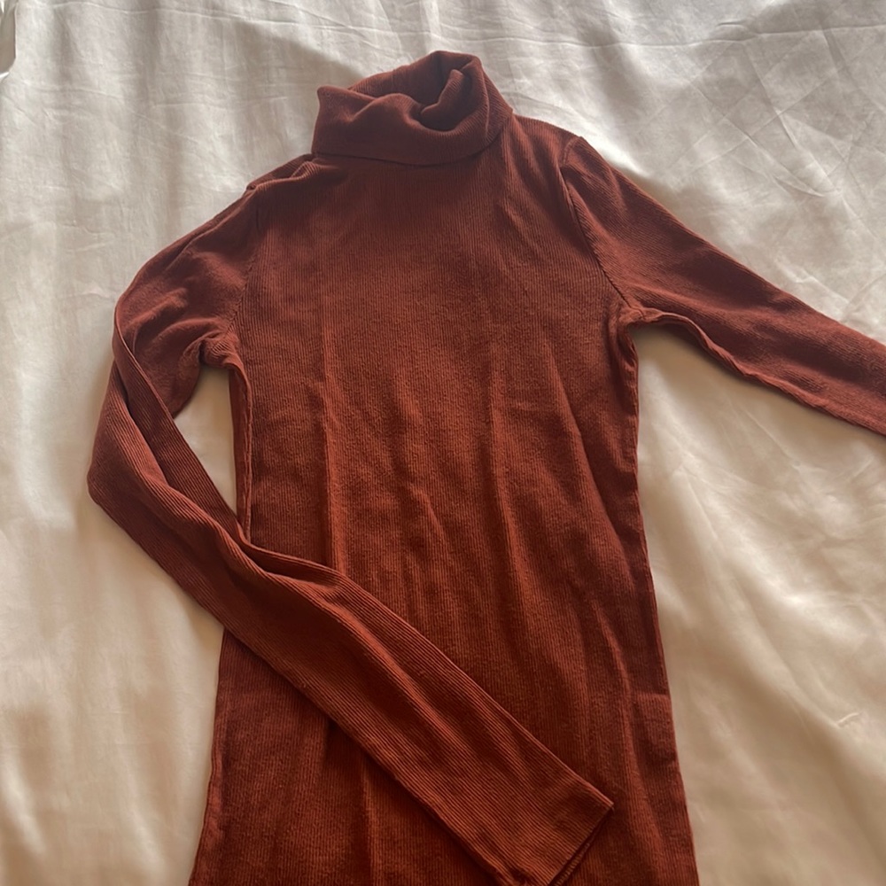 Burnt Orange Hollister turtleneck